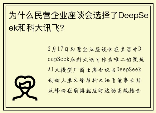 为什么民营企业座谈会选择了DeepSeek和科大讯飞？